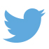 Twitter icon