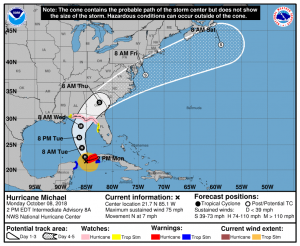 Hurricane Michael Image