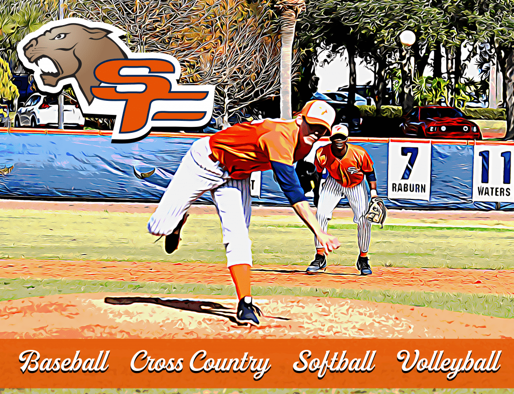 Painterly image of baseball pitcher with second baseman in the background. Includes text Baseball, Cross Country, Softball, and Volleyball on the bottom and the SF Panthers logo in the top left corner.