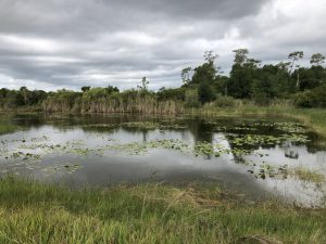 DeSoto Campus land