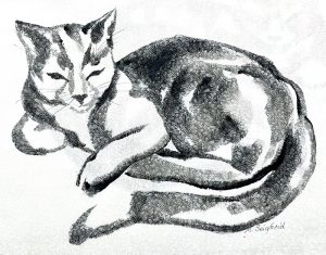 Cat image by Mary Seigfreid