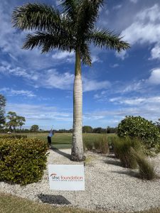 Driving Range at Sun N Lake Golf Club